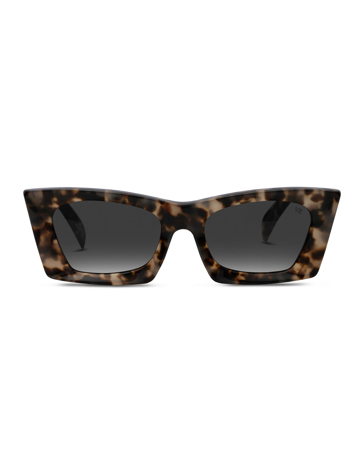Chartreux | Chocolate Tortoise | front