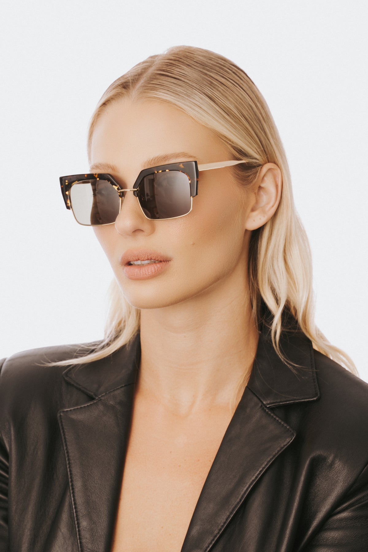Marquee | Maple Tortoise | lifestyle